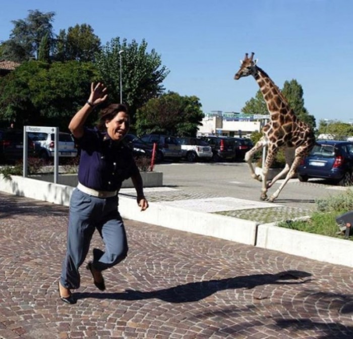 Improve Your Photography Skills Following These Tips 44 Women-vs.-Animals-1
