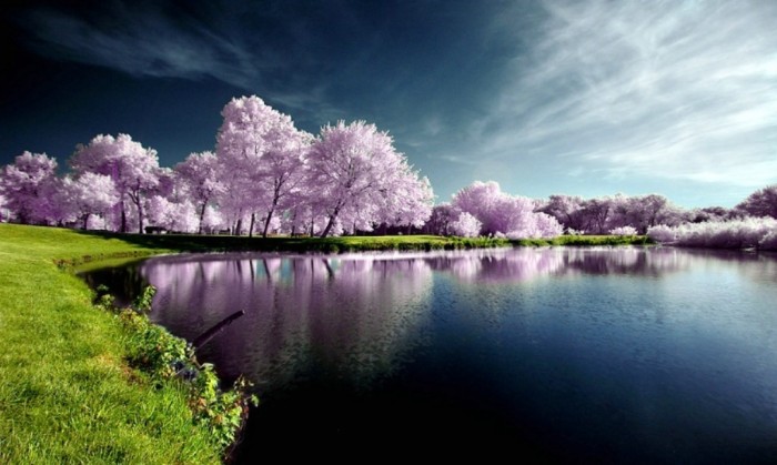 Improve Your Photography Skills Following These Tips 20 amazing photographs of nature