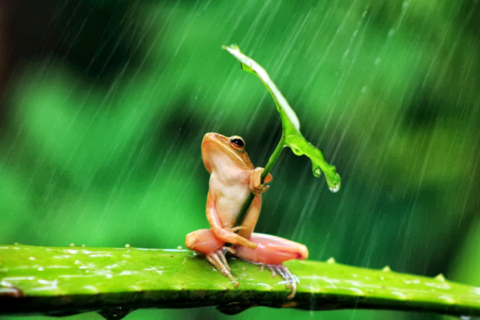Improve Your Photography Skills Following These Tips 12 amazing-photography-by-penkdix-palme