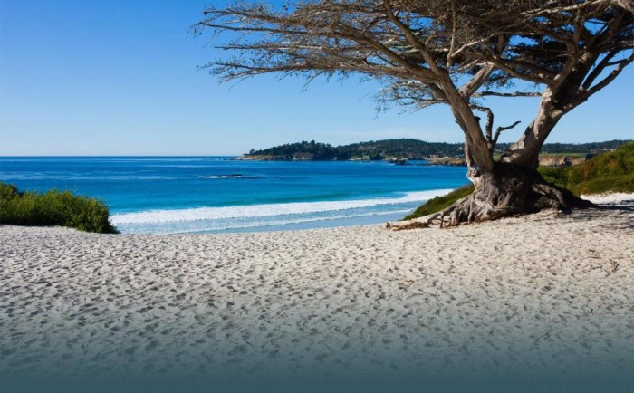 Carmel It is located in California on the Pacific coast and is known as a dog-friendly city. It allows you to enjoy parks, sandy beaches and doing several water sports such as surfing. 