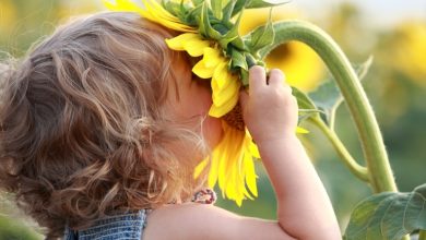 child smelling flower Do You Know How to Train Your Child to Use the Five Senses? - 8 teach your child to read