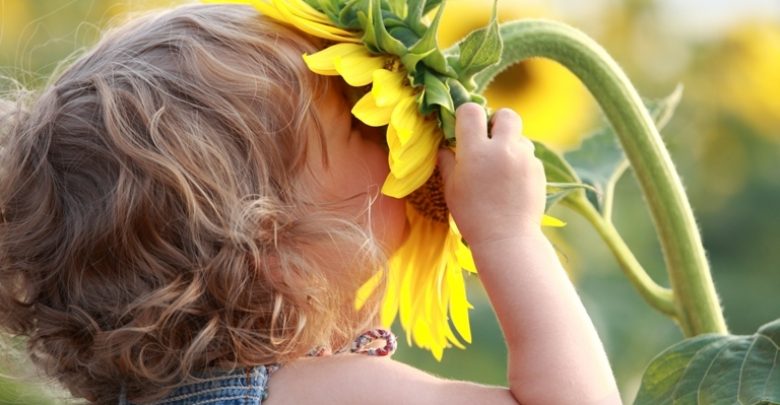 child smelling flower Do You Know How to Train Your Child to Use the Five Senses? - smell 1