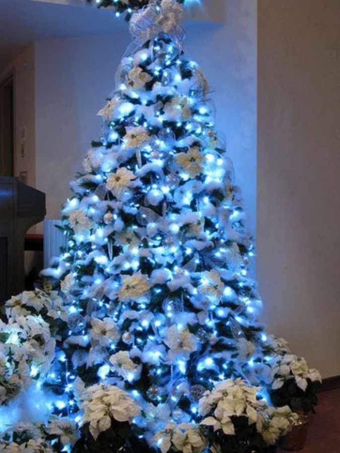 decor1462