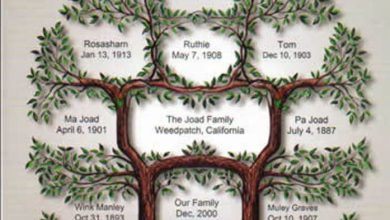 family tree of life1 Research Your Family History to Know Who You Are - Lifestyle 8
