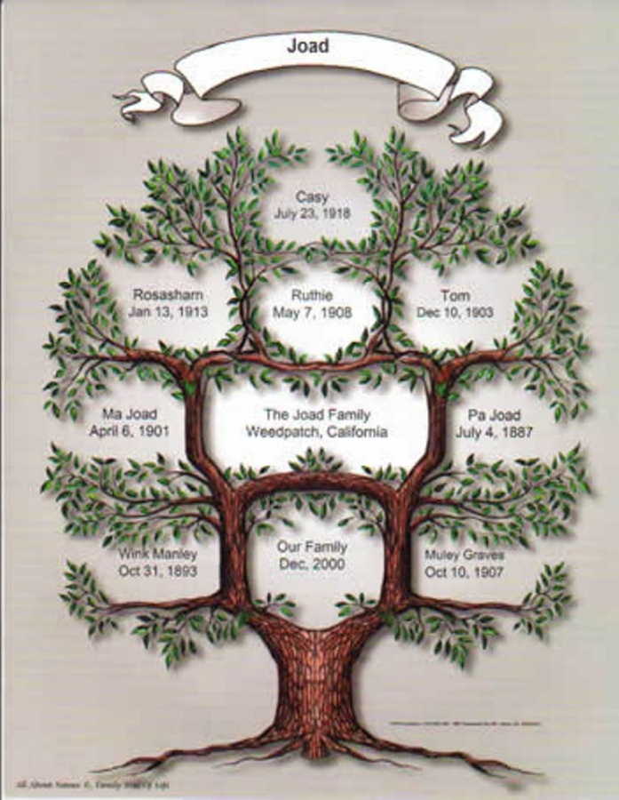 family_tree_of_life1