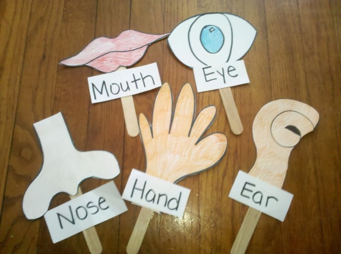 five senses