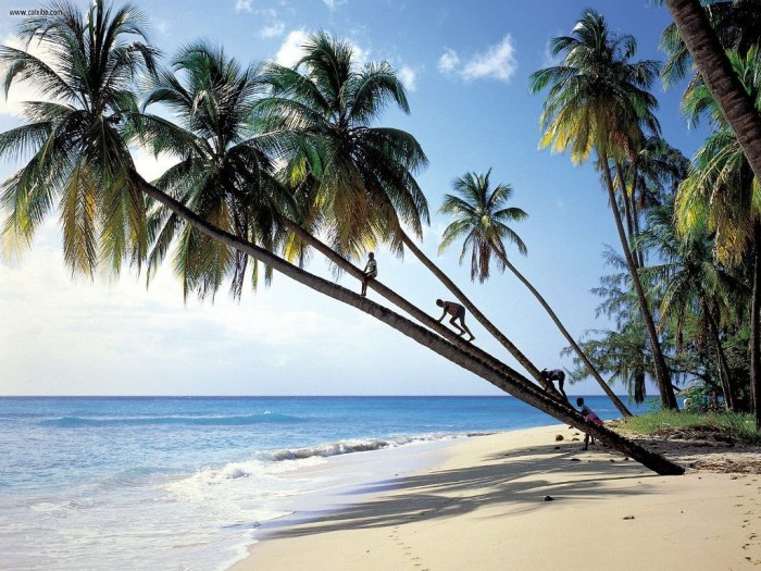 Top 10 Romantic Vacation Spots for Couples to Enjoy Unforgettable Time 65 gibbs_beach_mullins_bay_barbados