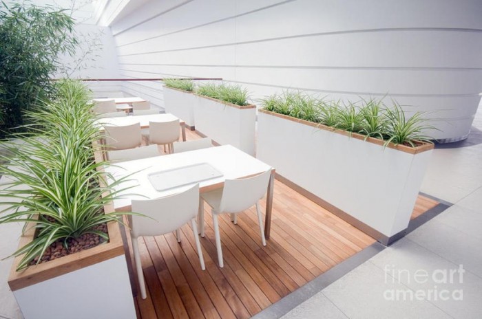 Do You Dream of Starting and Running Your Own Restaurant Business? 14 modern-restaurant-interior-michal-bednarek