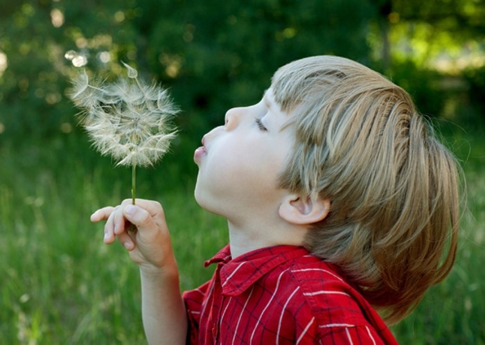 nature_activities_for_kids_page_image Do You Know How to Train Your Child to Use the Five Senses?
