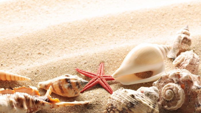 15 Tips to Help You Save Money on Entertainment 15 seashells-summer-beach-sand