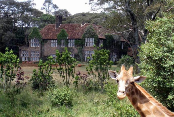 Giraffe Manor The hotel can be found in Nairobi, Kenya. The hotel consists of six rooms but it is not the hotel itself which is weird, what happens inside this hotel is the most fascinating thing that can ever happen to you. While you are sitting to eat your food at mealtime, you can suddenly find a giraffe that pokes its head through an open window to ask you for food. This place is ideal for those who adore animals especially giraffes.