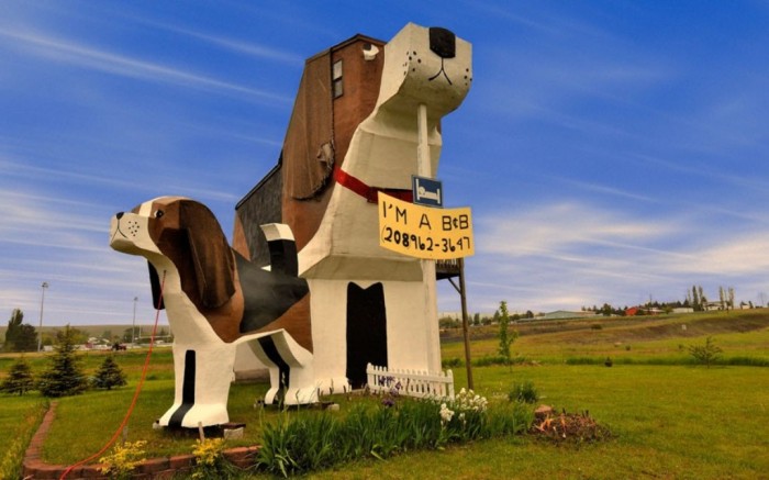 ugly-dog_2395817k Top 30 World's Weirdest Hotels ... Never Seen Before!