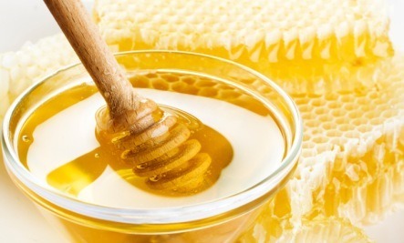 1191320.large Top 10 Health Benefits Of Honey - Anti-bacterial and anti-fungal 1