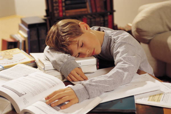 2-385_sleep_student_homework_e_h