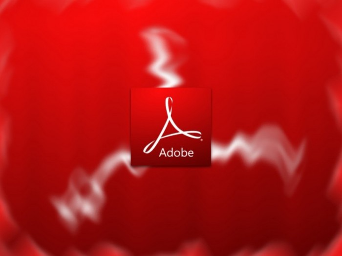 Top 10 Best Software Companies to Work for 4 Adobe_9_0_Radial_Wall_by_Vinis13-800x600