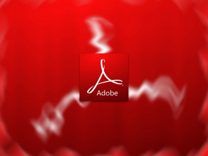 Adobe_9_0_Radial_Wall_by_Vinis13-800x600 Top 10 Best Software Companies to Work for