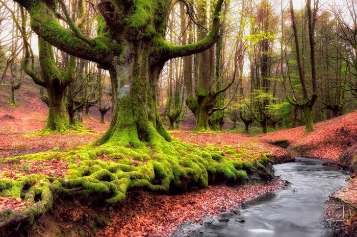 Top 10 Greatest Countries to Retire 39 Basque-County-Spain