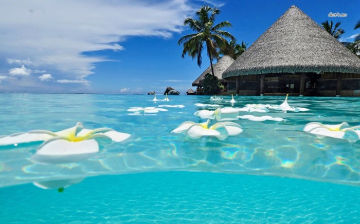 Top 10 Greatest Countries to Retire 19 Cancun beach