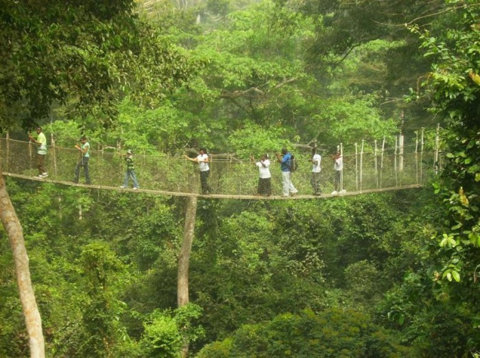 Canopy Walk It is located in Kakum National Park, Ghana. It is equipped with net wall and handrails for safety, is 100 feet high, 1.000 feet long and just one foot wide.   