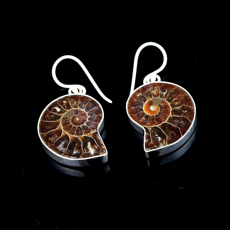 E38_Ammonite_Shell_Earrings