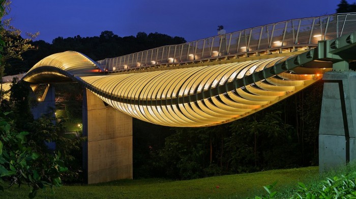 Henderson-Waves-Bridge Have You Ever Seen Breathtaking & Weird Bridges Like These Before?