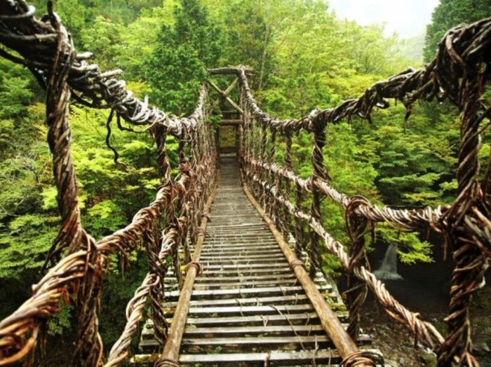 Iya Valley Vine Bridges It is built in Tokushima, Japan. It is 46 feet high and 148 feet long. 