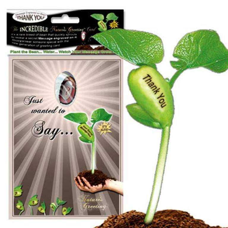 Gift card thank you on a magic bean plant as you will find the message engraved on the plant when it grows. Wait to see.