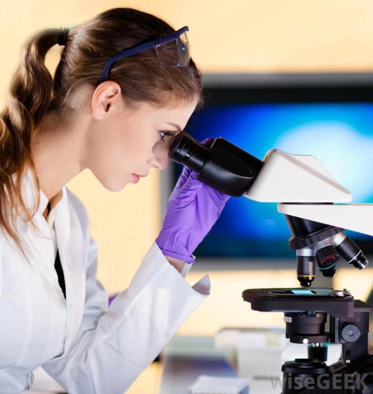 Microbiologists Top 15 High-Paying Government Careers