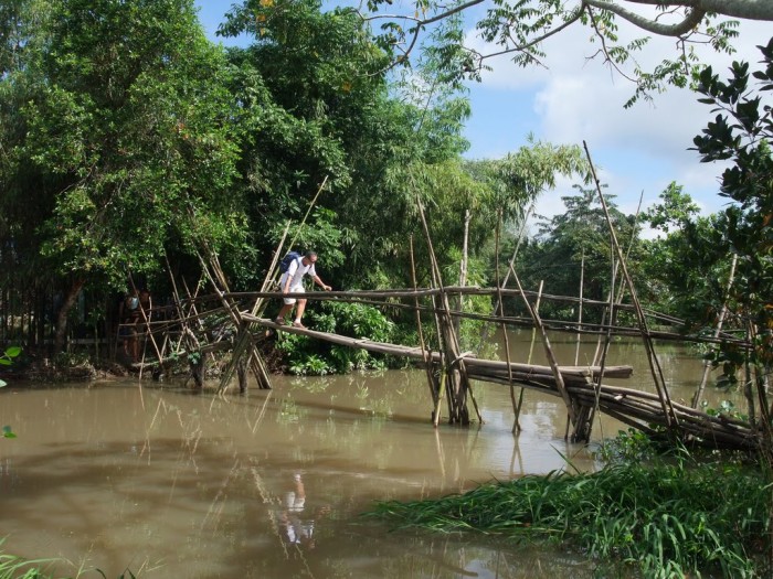 Monkey-Bridges-Vietnam1