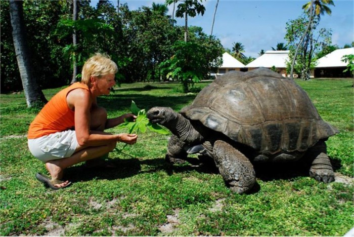 Seychelles Seychelles_WOMAN_and_TORTOISE_89880b588c8a4d08bcf31c925e86c0ed