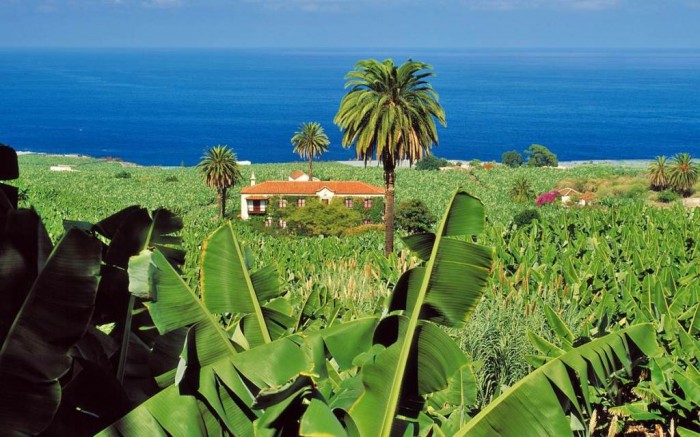 Top 10 Greatest Countries to Retire 36 Travel around Spain - Garachico - Isla Baja