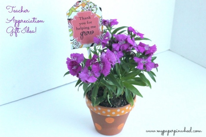 30 Amazing & Affordable Thank You Gift Ideas 26 grow
