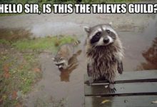 looking for the thieves guild Not Just Animals! They Are Real & Incredible Thieves - 9
