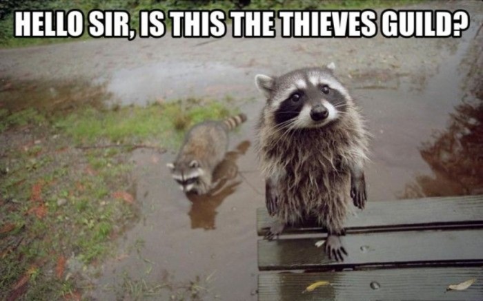 looking-for-the-thieves-guild Not Just Animals! They Are Real & Incredible Thieves