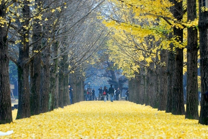 nami-island Top 10 Richest Governments in the World
