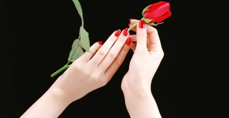 Red Rose Flower In Beautiful Hands Wallpaper 10 Ways To Get Beautiful Hands - Detect signs of health problems on your nails 1
