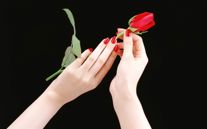 Red-Rose-Flower-In-Beautiful-Hands-Wallpaper 10 Ways To Get Beautiful Hands