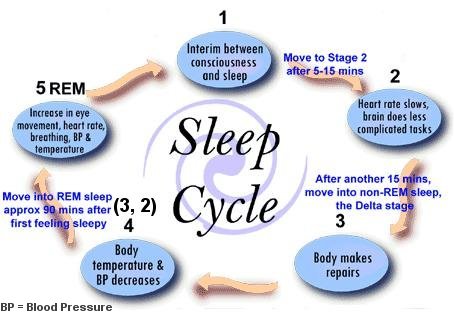 sleepcycle The Negative Effects Of Sleep Deprivation And Chronic Lack Of Sleep