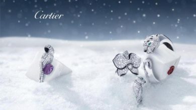 Top 10 Luxury Jewelry Brands in the World 289 cartier jewelry3 Top 10 Luxury Jewelry Brands in the World - 107