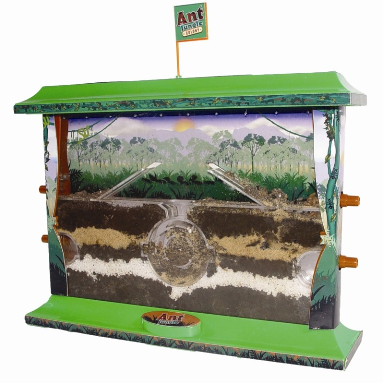 Top 15 Most Common Trends & Fads in 1950’s 4 AWXM - Ant Jungle out of box