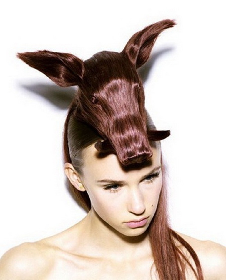 25 Funny and Crazy Hairstyles to Change Yours