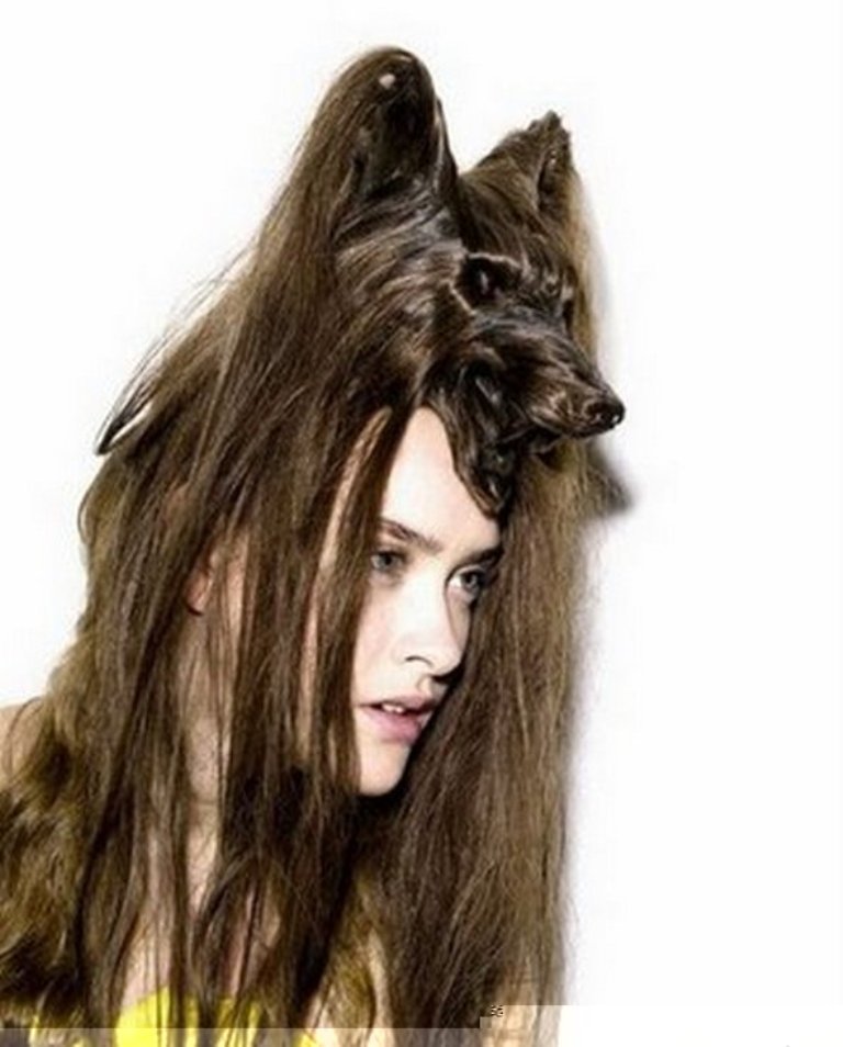 weird-creative-038-funny-animal-hairstyles14-1297854883 25 Funny and Crazy Hairstyles to Change Yours