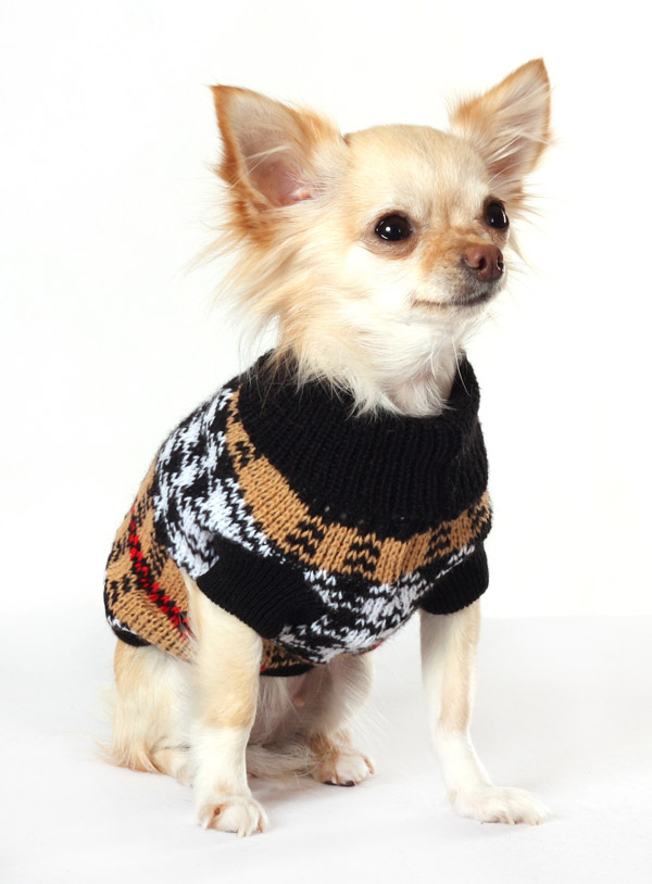 Top 35 Winter Clothes for Dogs | Pouted.com