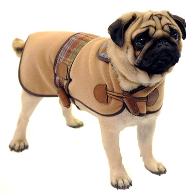 Top 35 Winter Clothes for Dogs 34 121409-gift-400b