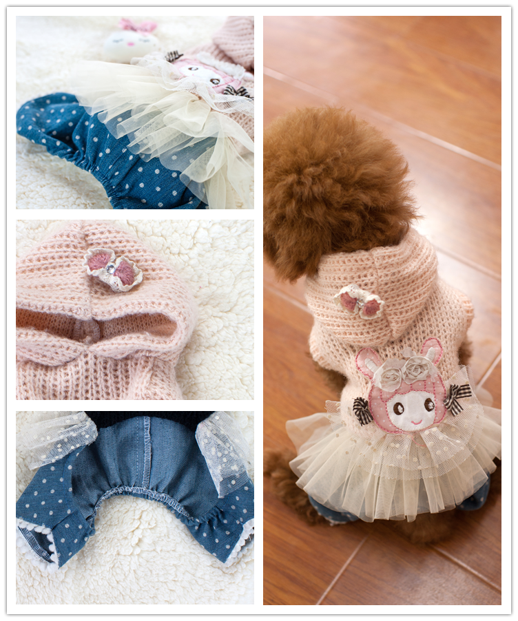 Top 35 Winter Clothes For Dogs