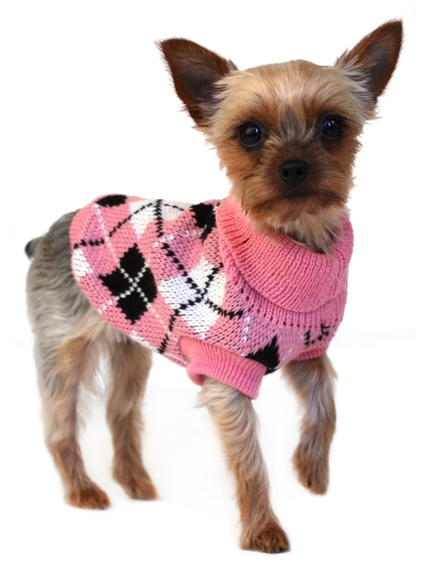 Top 35 Winter Clothes for Dogs