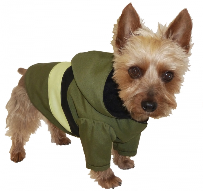 Top 35 Winter Clothes for Dogs