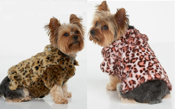 Dog Winter Coats Top 35 Winter Clothes for Dogs - Fashion Magazine 5