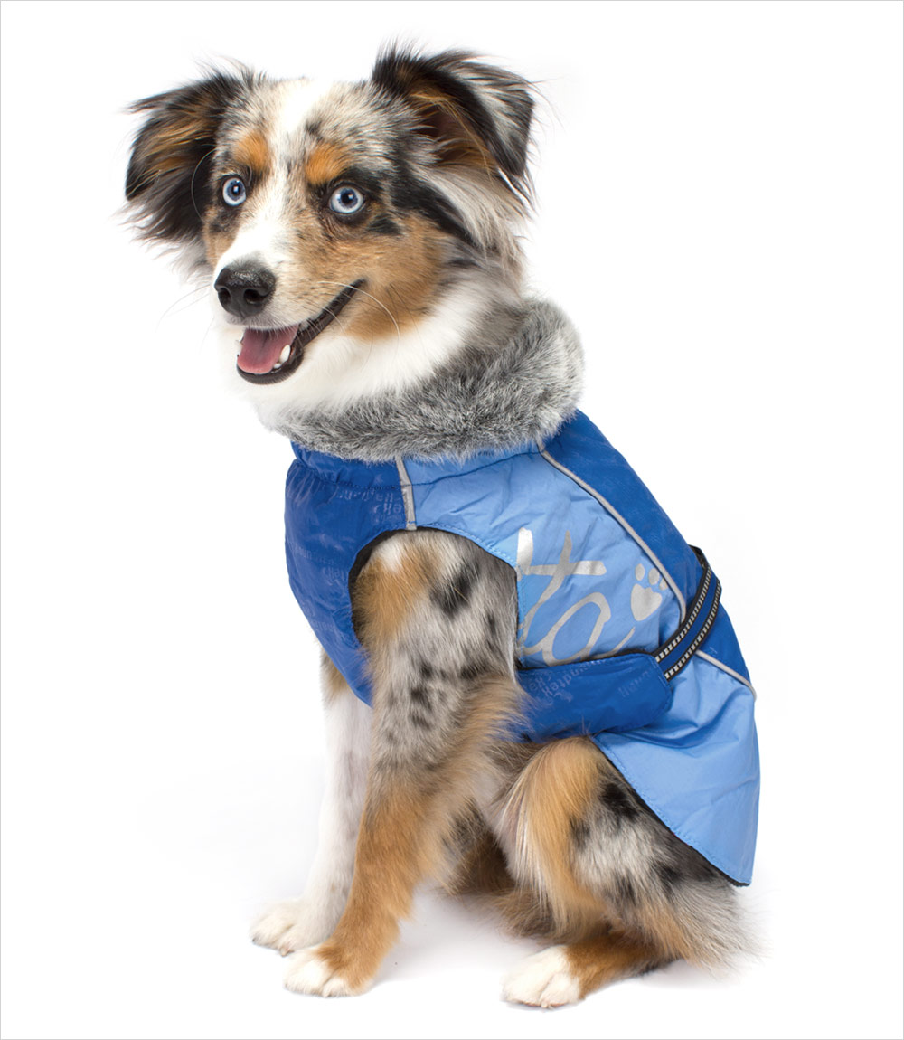 Hurtta-Blue-Winter-Jacket-Dog_pu Top 35 Winter Clothes for Dogs
