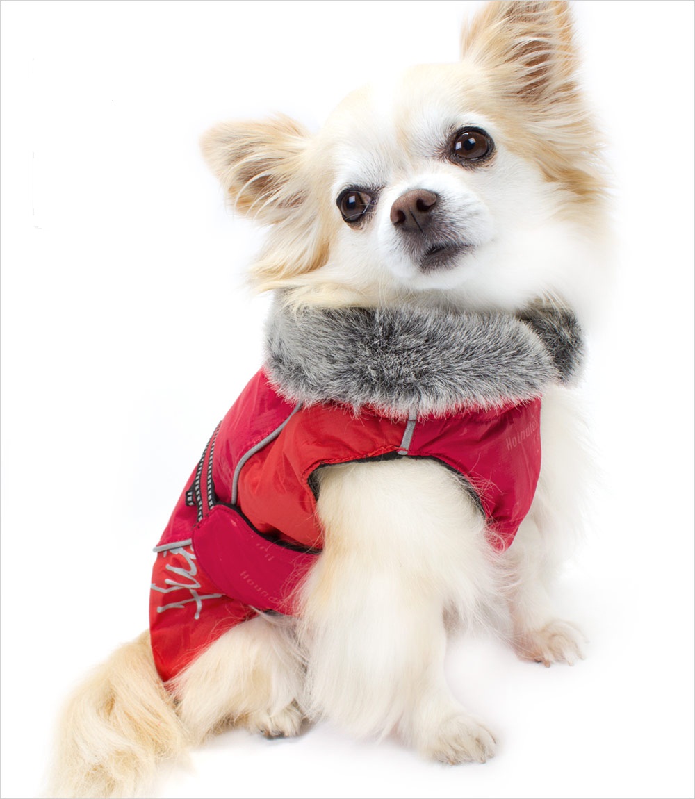 Hurtta-Red-Winter-Dog-Jacket-Chihuahua_pu